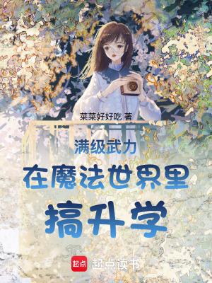 满级武力在魔法世界里搞升学 满级武力在魔法世界里搞升学
